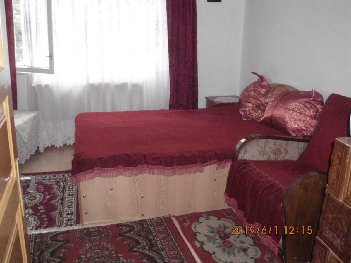 Vila Mihaela Breaza  Zewnętrze zdjęcie
