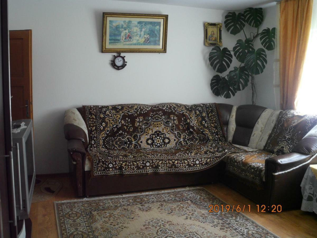 Vila Mihaela Breaza  Zewnętrze zdjęcie