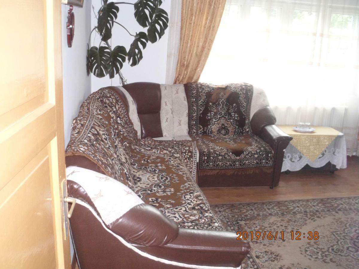 Vila Mihaela Breaza  Zewnętrze zdjęcie