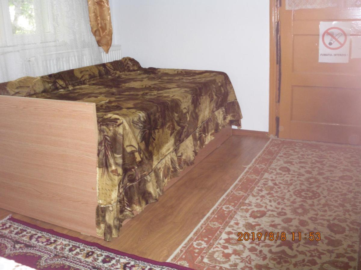 Vila Mihaela Breaza  Zewnętrze zdjęcie