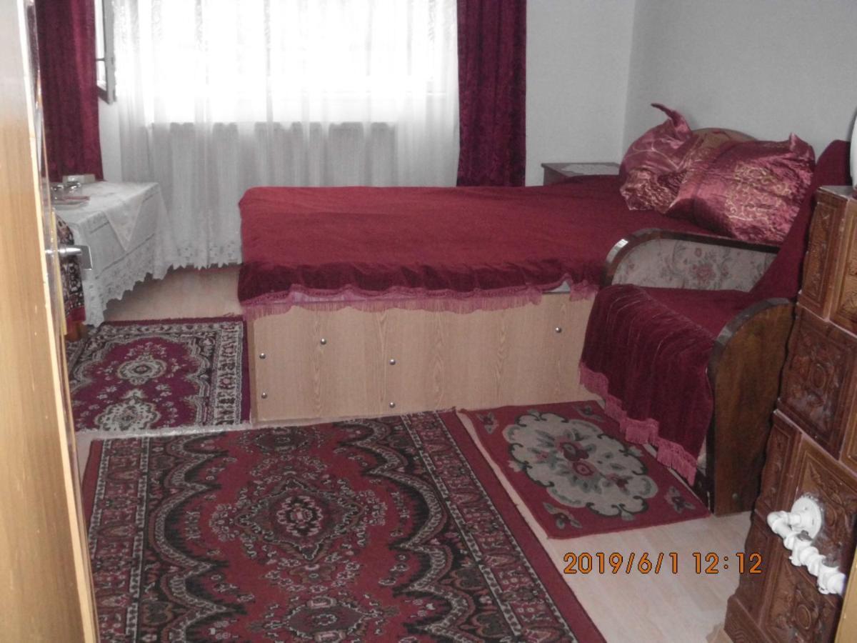 Vila Mihaela Breaza  Zewnętrze zdjęcie