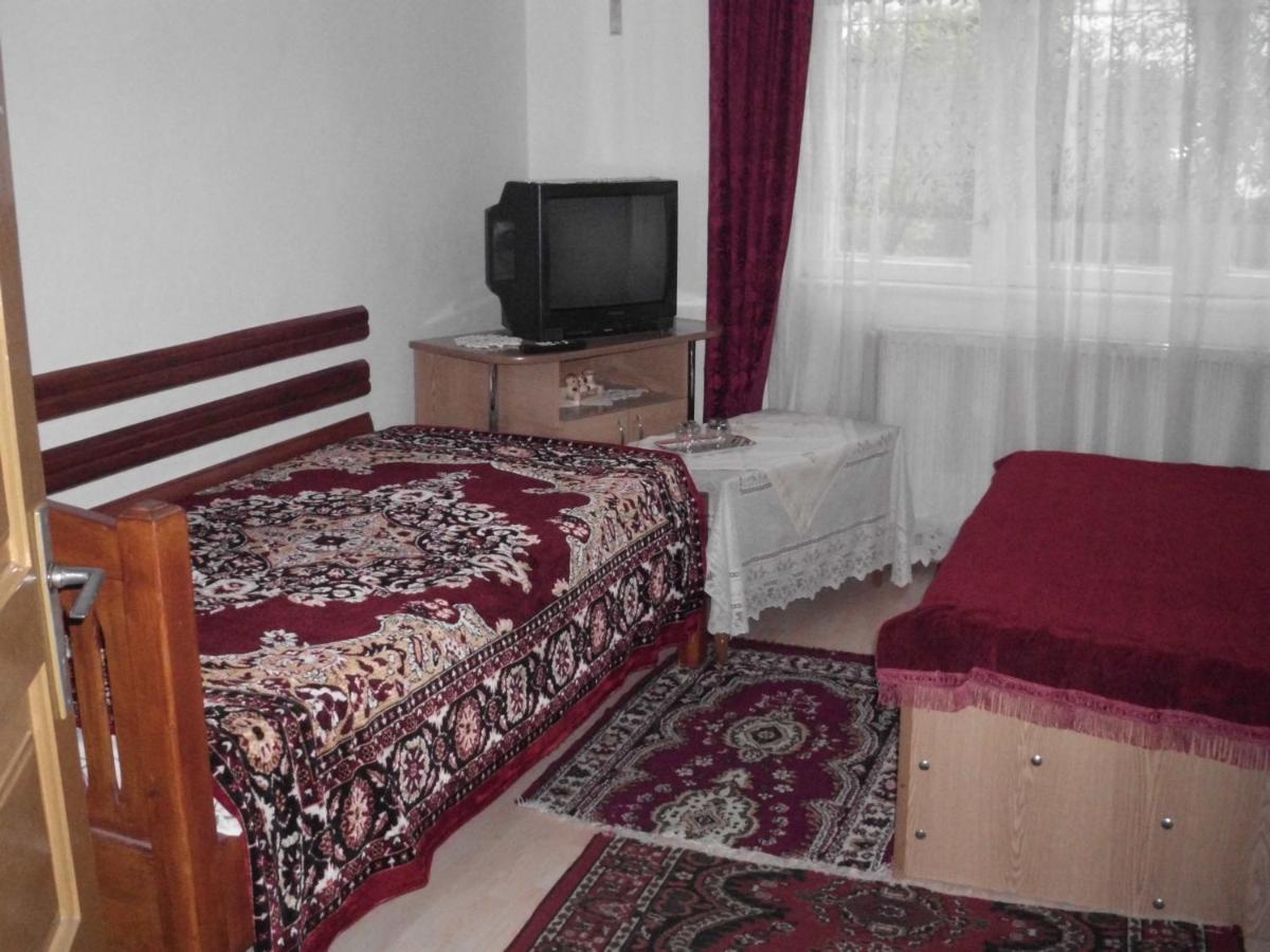 Vila Mihaela Breaza  Zewnętrze zdjęcie